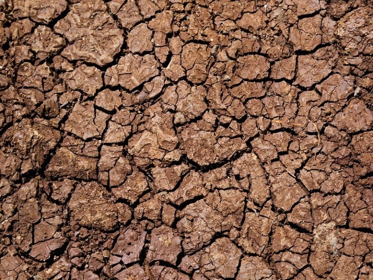 Cracked, drought-stricken earth