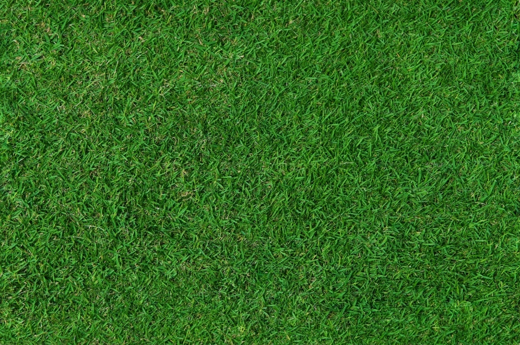 Recovering green ground